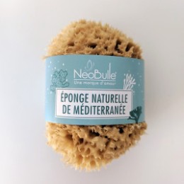 Néobulle Éponge naturelle Mer Méditerranée
