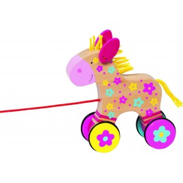 Horse, animal, shoot Clahra Susibelle